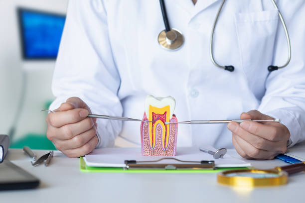 Best 24-Hour Emergency Dentist in Mansfield, LA